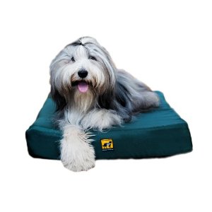 Orthopaedic Dog Bed Memory Foam
